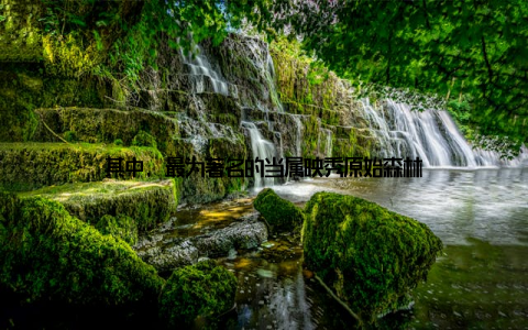 其中, 最为著名的当属映秀原始森林