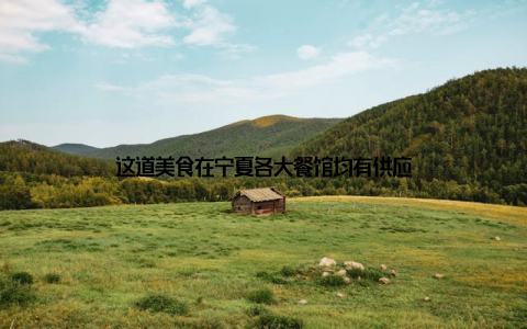这道美食在宁夏各大餐馆均有供应