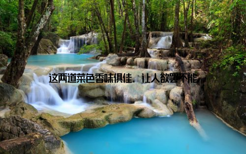 这两道菜色香味俱佳, 让人欲罢不能