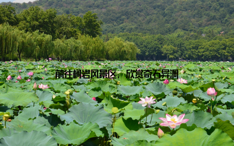 前往柯岩风景区, 欣赏奇石异洞