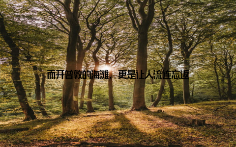 而开普敦的海滩, 更是让人流连忘返