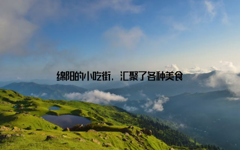 绵阳的小吃街, 汇聚了各种美食