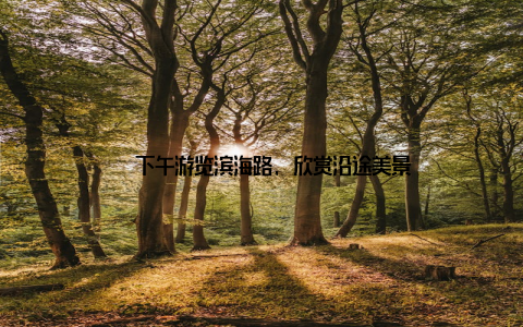 – 下午游览滨海路, 欣赏沿途美景