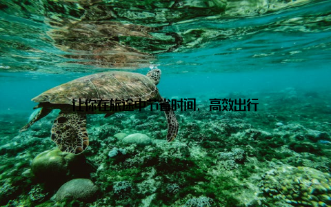 让你在旅途中节省时间, 高效出行
