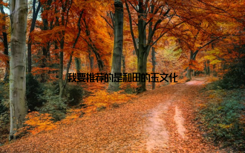 我要推荐的是和田的玉文化