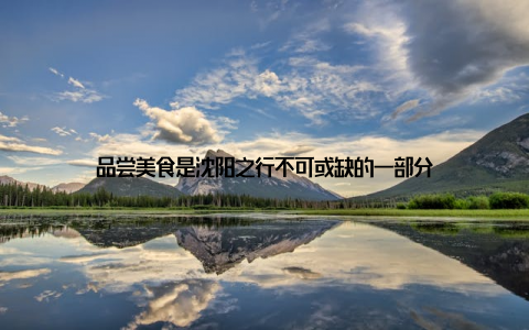 品尝美食是沈阳之行不可或缺的一部分