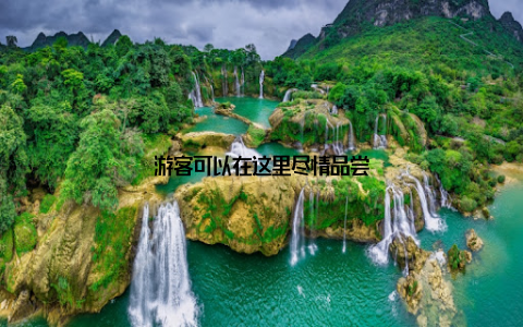 游客可以在这里尽情品尝