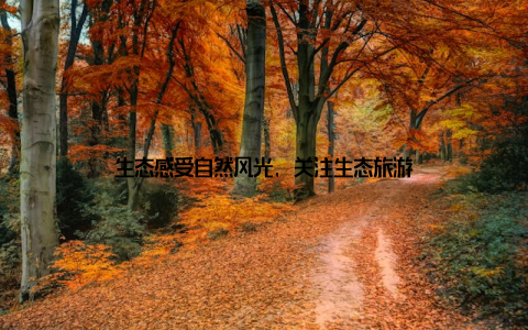 生态感受自然风光, 关注生态旅游