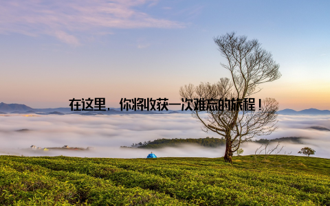 在这里, 你将收获一次难忘的旅程!