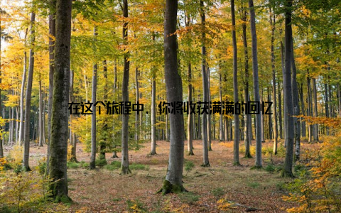 在这个旅程中, 你将收获满满的回忆