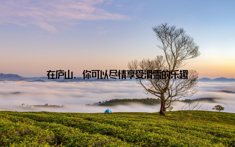 在庐山, 你可以尽情享受滑雪的乐趣