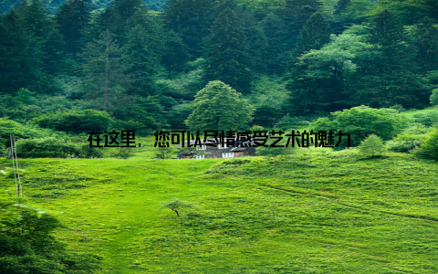 在这里, 您可以尽情感受艺术的魅力