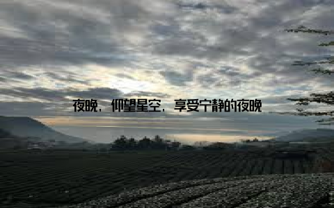 夜晚, 仰望星空, 享受宁静的夜晚